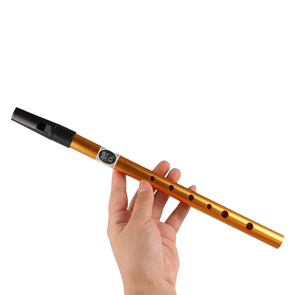 Musical Accessories 6 Hole Iri - Musical Instrument Flute recension och pris